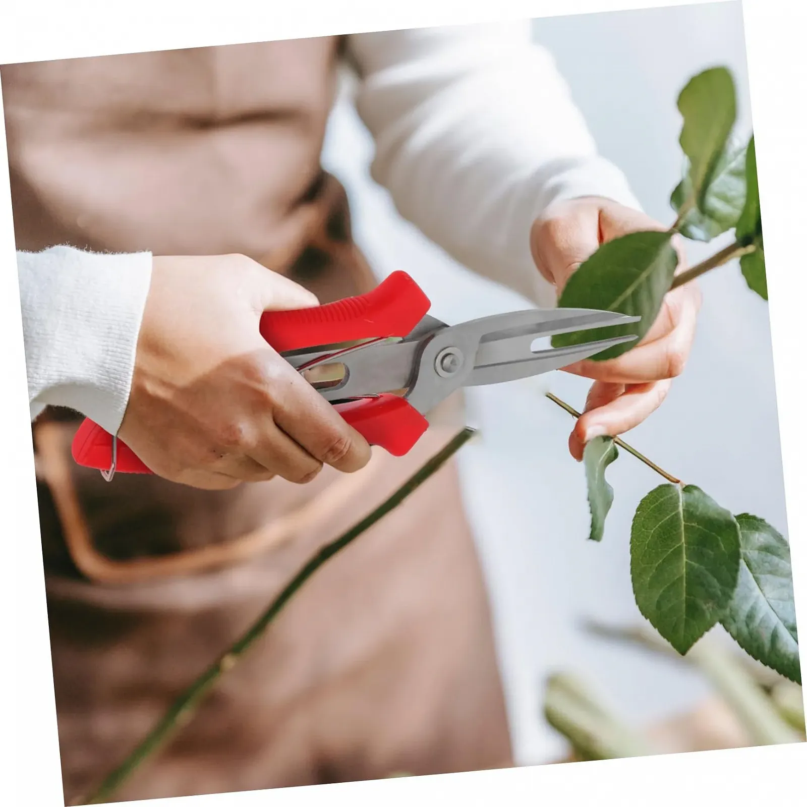 Ножиці для проріджування плодів та квітів Happyyami Червоний, фото №6