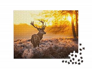 Пазл puzzleYOU Animals, Nature, Deer Red Deer in the Morning Sun 1000 элементов synthetic.ua - Фото 1