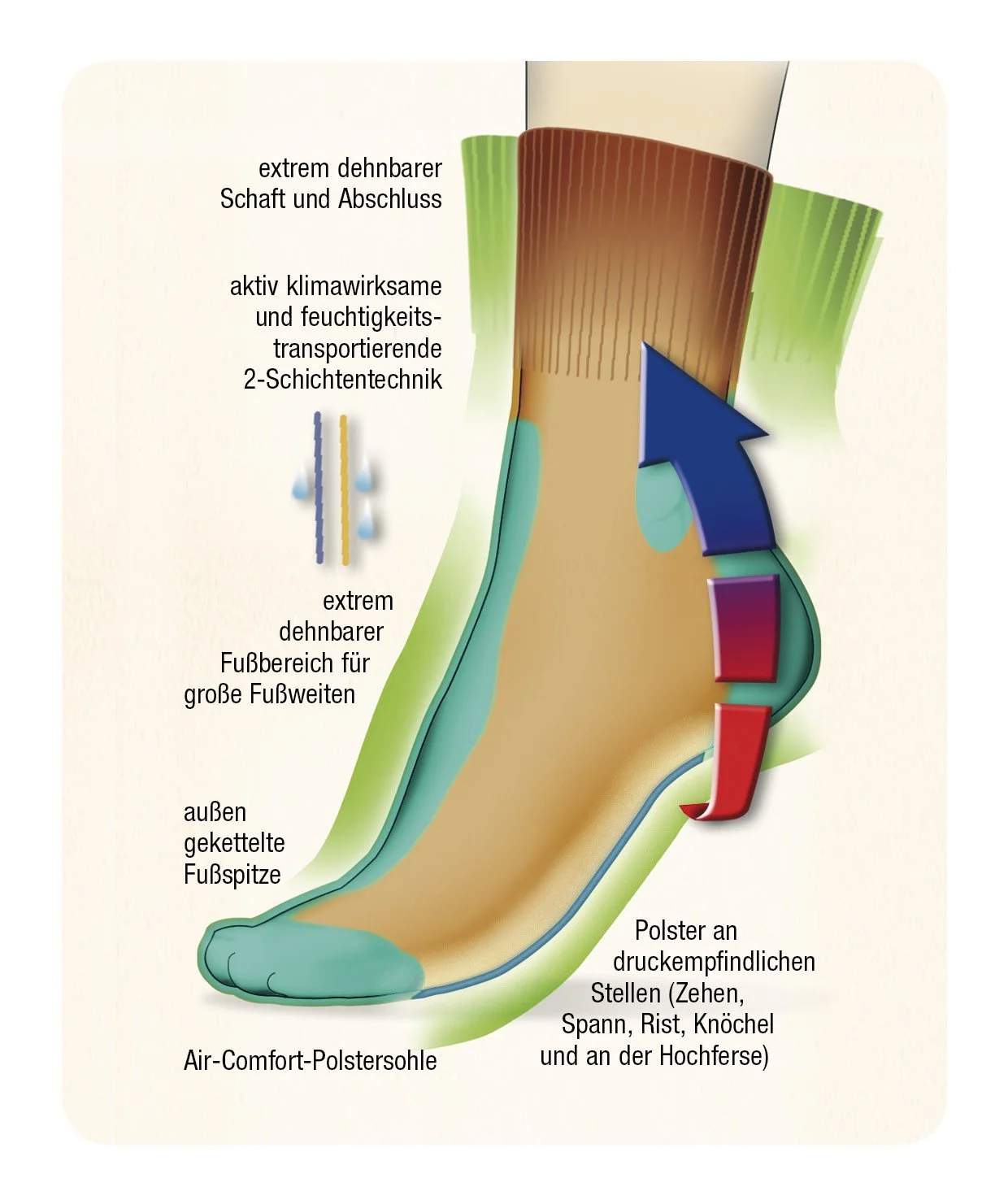 Шкарпетки Compressana GoWell Med Multi - Extra Stretchy - Ідеально підходять для широкої стопи, набряків і деформацій - Розмір III, фото №3 Шкарпетки Compressana GoWell Med Multi - Extra Stretchy - Ідеально підходять для широкої стопи, набряків і деформацій - Розмір III, фото №3