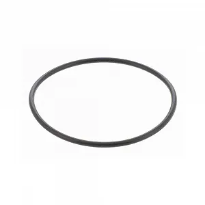 Прокладка дросельної заслінки VEMO V20-81-0041 для BMW - Фото 1