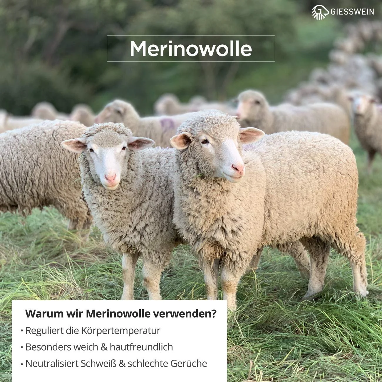 Пов'язка на голову Giesswein Stirnberg, фото №5