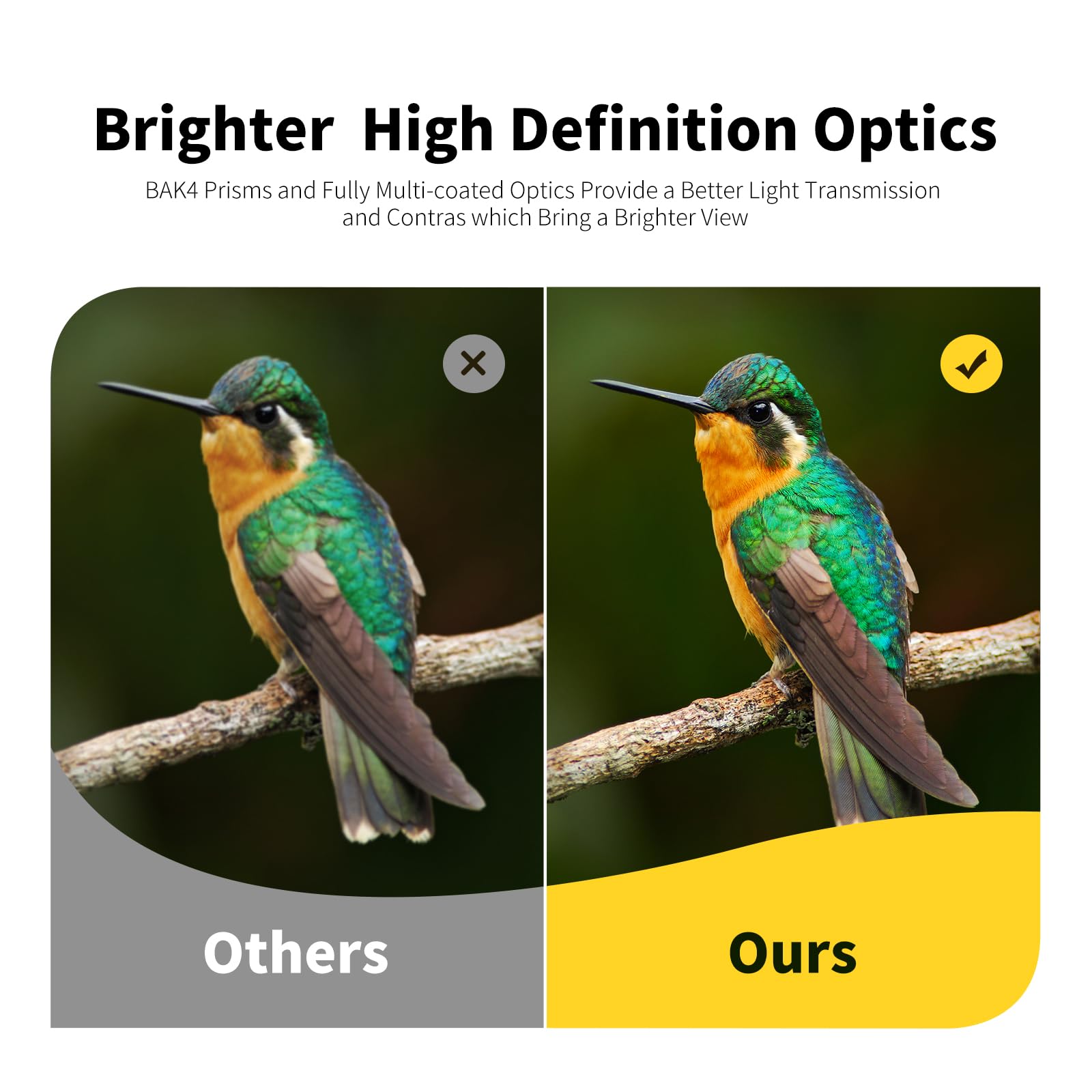 Бінокль 20x50 Professional High Performance Porro BAK4 Multilayer Coated, фото №6