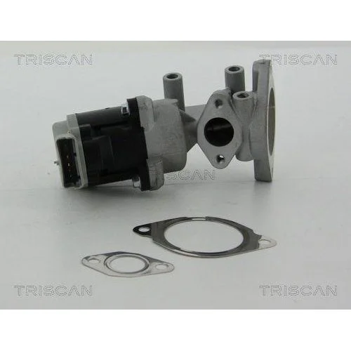 Клапан EGR TRISCAN 8813 17020 для LAND ROVER, лівий, фото №3