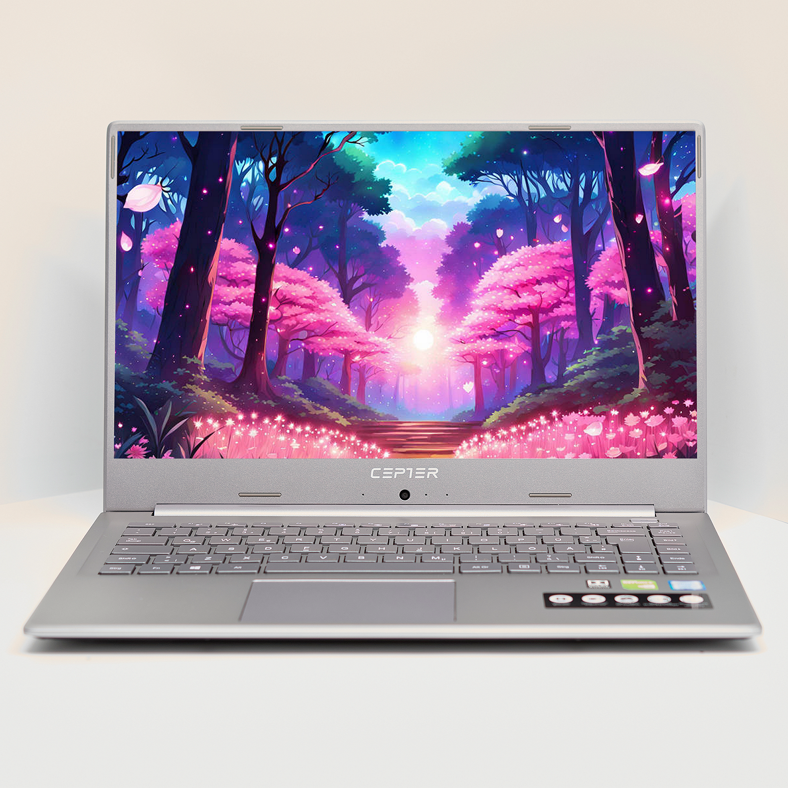 Ноутбук 15.6'' Medion (Lenovo Group) Akoya P6645 | Intel Core i7-8565U | IPS (1920x1080) FullHD | RAM 8 ГБ | SSD 512 ГБ | Nvidia GeForce MX250 | Intel UHD Graphics 620 | Металевий корпус | Win11 (4993), фото №1