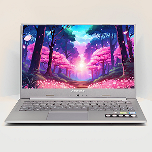 Ноутбук 15.6'' Medion (Lenovo Group) Akoya P6645 | Intel Core i7-8565U | IPS (1920x1080) FullHD | RAM 8 ГБ | SSD 512 ГБ | Nvidia GeForce MX250 | Intel UHD Graphics 620 | Металевий корпус | Win11 (4993) - Фото 1