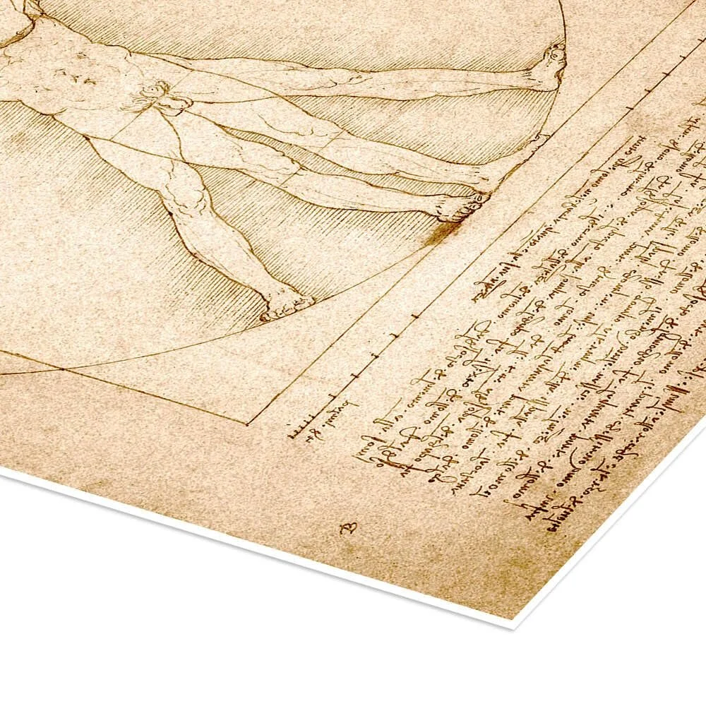 Постер Leonardo da Vinci Vitruvian Man 50 x 70 см Бежевый, фото №3