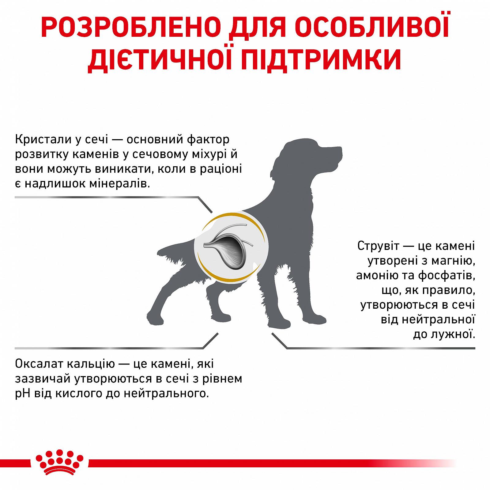 Сухой корм для собак Royal Canin Urinary S/O при лечении и профилактике мочекаменной болезни 2 кг 3182550711036 93091 39130201, фото №10 Сухой корм для собак Royal Canin Urinary S/O при лечении и профилактике мочекаменной болезни 2 кг 3182550711036 93091 39130201, фото №10