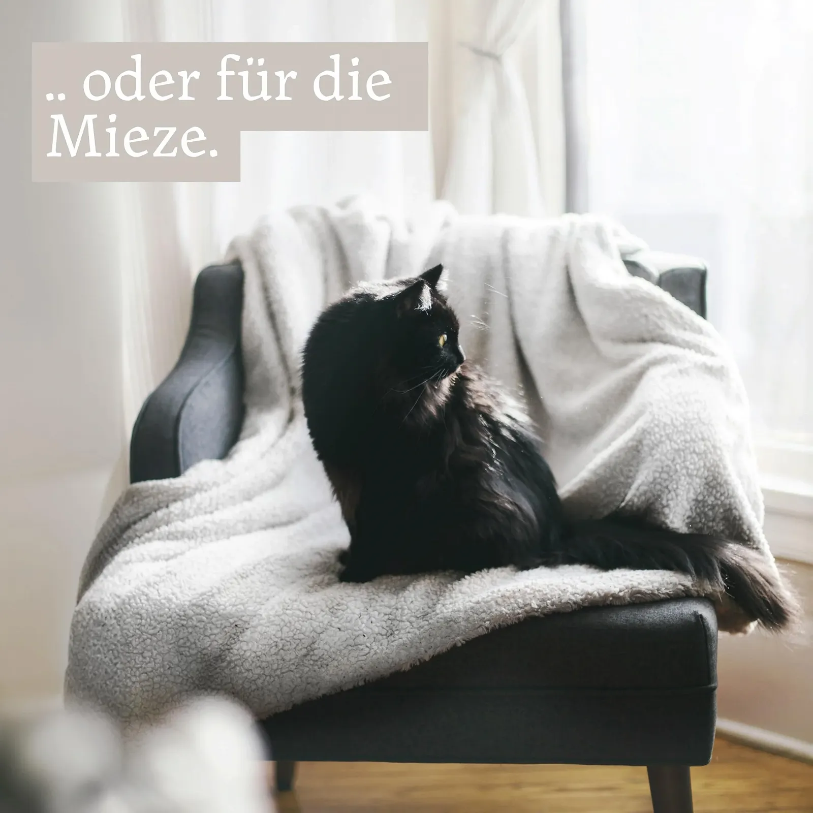 Плед Cuddly Chenille Бежевый 160 x 130 см, фото №4 Плед Cuddly Chenille Бежевый 160 x 130 см, фото №4