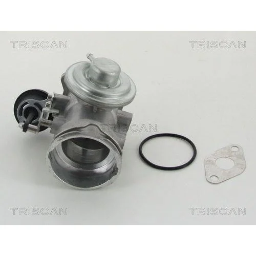 Клапан EGR TRISCAN 8813 29302 для SEAT SKODA VW, фото №2