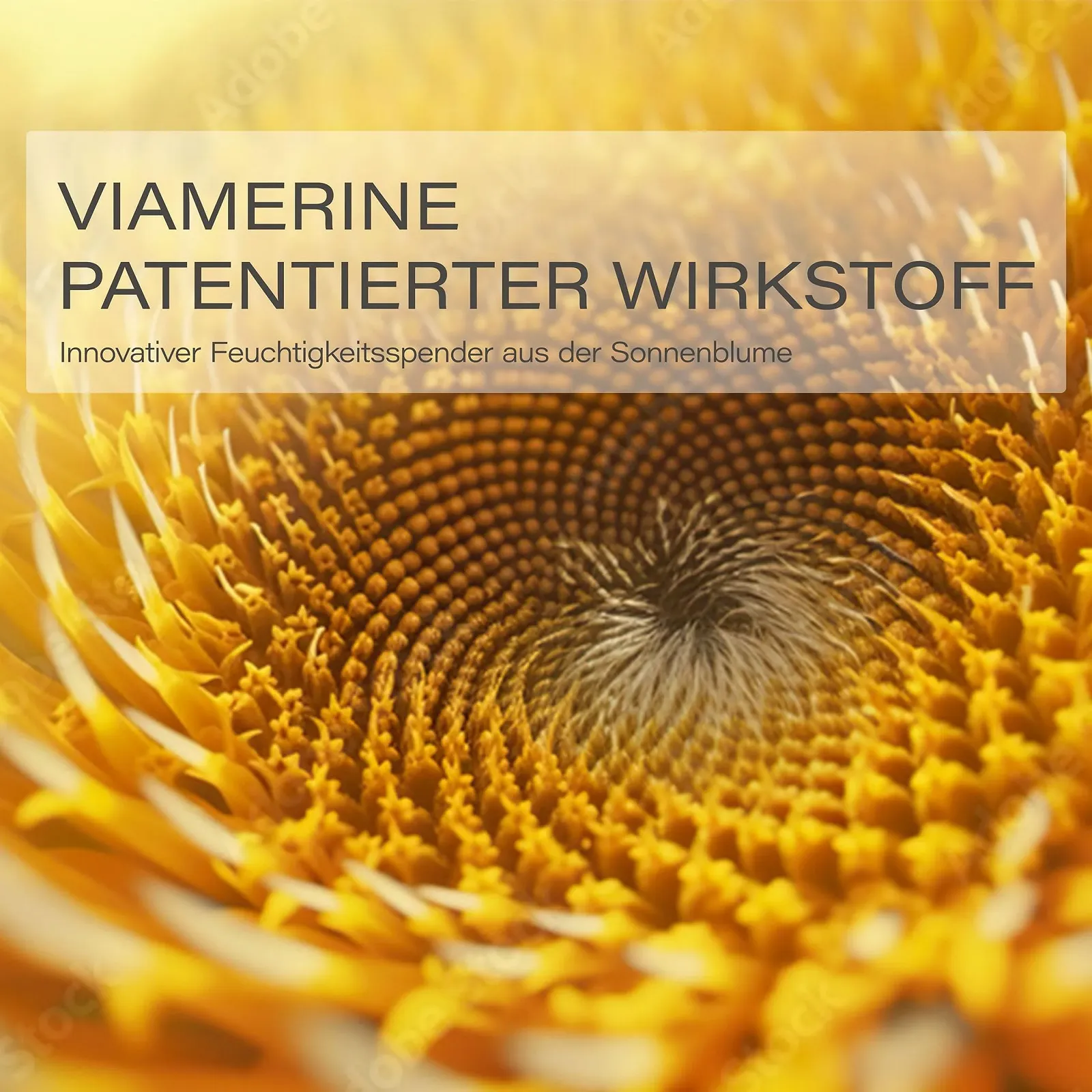 Крем для рук Leo & Lilo Набір з 4 шт. камелія 20 мл, фото №9