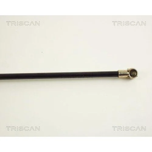 Газлифт багажника TRISCAN 8710 38209 для CITROËN, фото №3