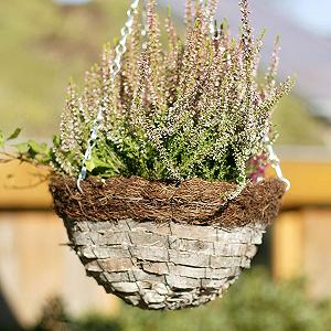 Підвісний кошик Videx Aron 35 см березова кора Натуральний synthetic.ua - Фото 1